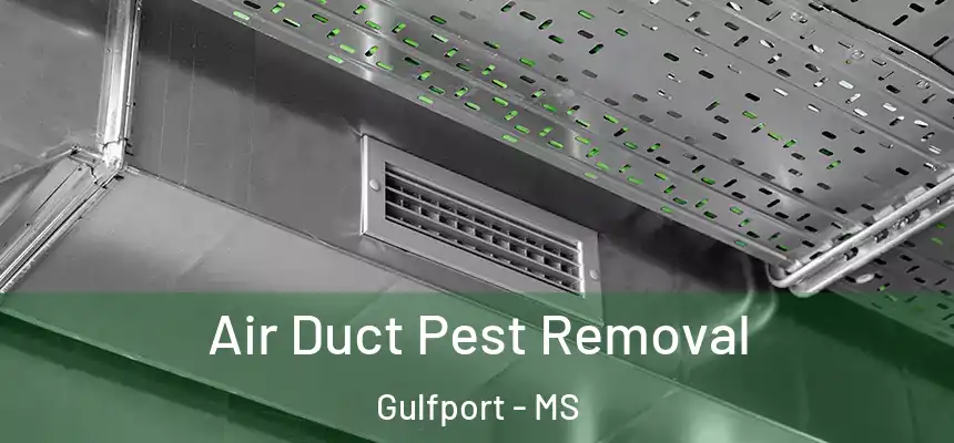 Air Duct Pest Removal Gulfport - MS
