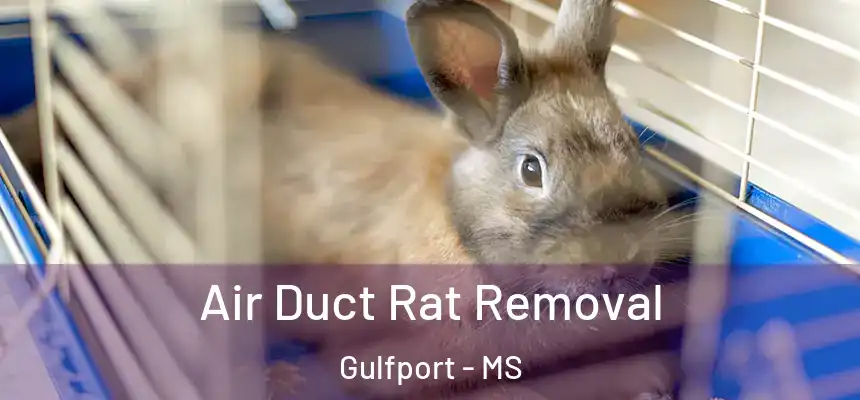Air Duct Rat Removal Gulfport - MS