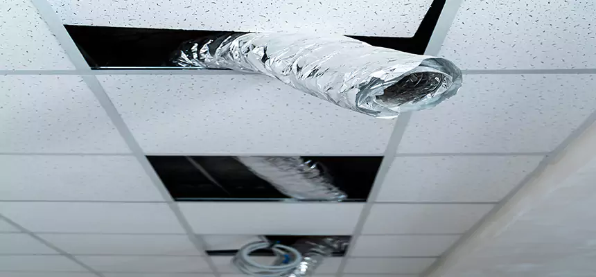 Affordable HVAC Sanitizing After Pest Removal in Gulfport