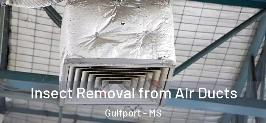 Insect Removal from Air Ducts Gulfport - MS