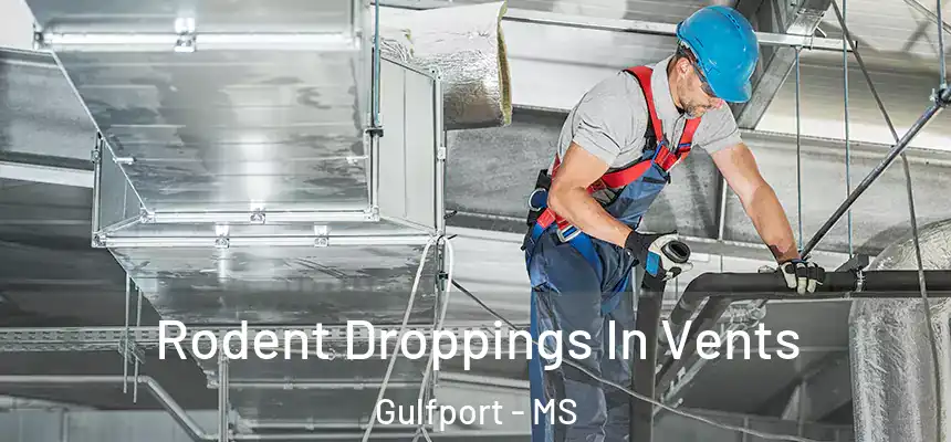 Rodent Droppings In Vents Gulfport - MS