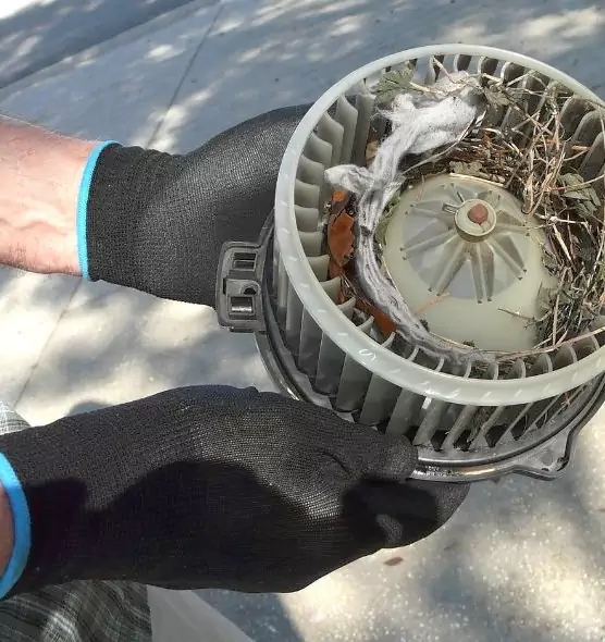 About Air Duct Mice Removal in Gulfport, MS