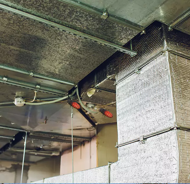 Why Homeowners & Businesses Trust Us in Gulfport, MS?