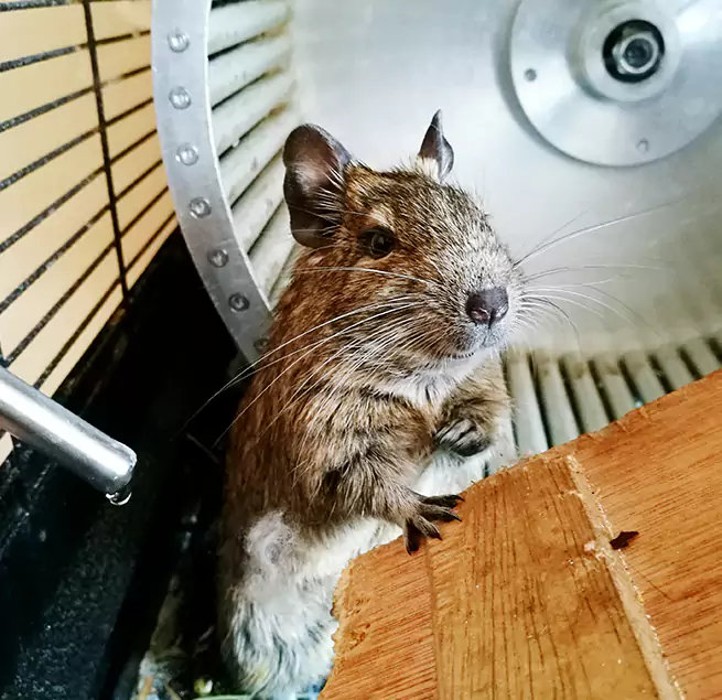 Why Homeowners & Businesses Trust Us Gulfport, MS